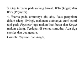 3. Gigi terbatas pada rahang bawah, 0/16 (kogia) dan
0/25 (Physeter).
4. Warna pada umumnya abu-abu, Paus penyelam
dalam (deep diving), makanan utamanya cumi-cumi
tapi pada Physeter juga makan ikan besar dan Kogia
makan udang. Terdapat di semua samudra. Ada tiga
spesies dan dua genera.
Contoh: Physeter dan Kogia.
 