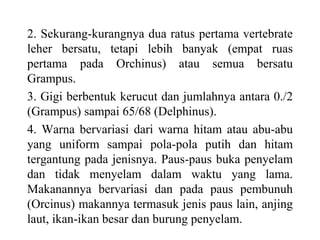2. Sekurang-kurangnya dua ratus pertama vertebrate
leher bersatu, tetapi lebih banyak (empat ruas
pertama pada Orchinus) atau semua bersatu
Grampus.
3. Gigi berbentuk kerucut dan jumlahnya antara 0./2
(Grampus) sampai 65/68 (Delphinus).
4. Warna bervariasi dari warna hitam atau abu-abu
yang uniform sampai pola-pola putih dan hitam
tergantung pada jenisnya. Paus-paus buka penyelam
dan tidak menyelam dalam waktu yang lama.
Makanannya bervariasi dan pada paus pembunuh
(Orcinus) makannya termasuk jenis paus lain, anjing
laut, ikan-ikan besar dan burung penyelam.
 