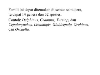 Famili ini dapat ditemukan di semua samudera,
terdapat 14 genera dan 32 spesies.
Contoh: Delphinus, Grampus, Tursiop, dan
Cepalorynchus, Lissodopis, Globicepala, Orchinus,
dan Orcaella.
 