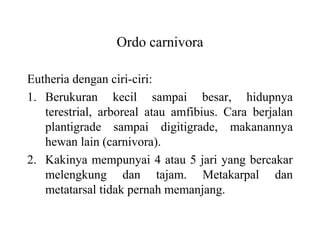 Ordo carnivora
Eutheria dengan ciri-ciri:
1. Berukuran kecil sampai besar, hidupnya
terestrial, arboreal atau amfibius. Cara berjalan
plantigrade sampai digitigrade, makanannya
hewan lain (carnivora).
2. Kakinya mempunyai 4 atau 5 jari yang bercakar
melengkung dan tajam. Metakarpal dan
metatarsal tidak pernah memanjang.
 