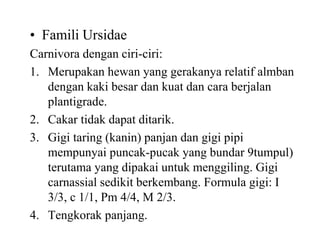 • Famili Ursidae
Carnivora dengan ciri-ciri:
1. Merupakan hewan yang gerakanya relatif almban
dengan kaki besar dan kuat dan cara berjalan
plantigrade.
2. Cakar tidak dapat ditarik.
3. Gigi taring (kanin) panjan dan gigi pipi
mempunyai puncak-pucak yang bundar 9tumpul)
terutama yang dipakai untuk menggiling. Gigi
carnassial sedikit berkembang. Formula gigi: I
3/3, c 1/1, Pm 4/4, M 2/3.
4. Tengkorak panjang.
 