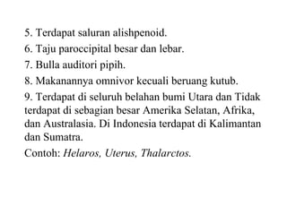 5. Terdapat saluran alishpenoid.
6. Taju paroccipital besar dan lebar.
7. Bulla auditori pipih.
8. Makanannya omnivor kecuali beruang kutub.
9. Terdapat di seluruh belahan bumi Utara dan Tidak
terdapat di sebagian besar Amerika Selatan, Afrika,
dan Australasia. Di Indonesia terdapat di Kalimantan
dan Sumatra.
Contoh: Helaros, Uterus, Thalarctos.
 