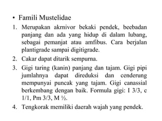 • Famili Mustelidae
1. Merupakan akrnivor bekaki pendek, beebadan
panjang dan ada yang hidup di dalam lubang,
sebagai pemanjat atau amfibus. Cara berjalan
plantigrade sampai digitigrade.
2. Cakar dapat ditarik sempurna.
3. Gigi taring (kanin) panjang dan tajam. Gigi pipi
jumlahnya dapat direduksi dan cenderung
mempunyai puncak yang tajam. Gigi canassial
berkembang dengan baik. Formula gigi: I 3/3, c
1/1, Pm 3/3, M ½.
4. Tengkorak memiliki daerah wajah yang pendek.
 