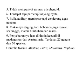 5. Tidak mempunyai saluran alisphenoid.
6. Terdapat taju paroccipital yang nyata.
7. Bulla auditori membesar tapi cenderung agak
gepeng.
8. Makannya daging, tapi beberapa juga makan
seerangga, materi tumbuhan dan madu.
9. Penyebarannya luas di dunia kecuali di
madagaskar dan Australiasia. Terdapat 25 genera
dan 70 spesies.
Contoh: Martes, Mustela, Lutra, Mallivora, Nephitis.
 
