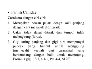 • Famili Canidae
Carnicora dengan ciri-ciri:
1. Merupakan hewan pelari dengn kaki panjang
dengan cara menapak digitigrade.
2. Cakar tidak dapat ditarik dan tumpul tidak
melengkung (lurus).
3. Gigi taring panjang dan gigi pipi mempunyai
puncak yang tumpul untuk menggiling
(memecah) kecuali gigi carnassial yang
berkembang dengan baik untuk memotong.
Formula gigi I 3/3, c 1/1, Pm 4/4, M 2/3.
 