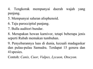 4. Tengkorak mempunyai daerah wajah yang
panjang.
5. Mempunyai saluran alisphenoid.
6. Taju paroccipital panjang.
7. Bulla auditori bundar.
8. Merupakan hewan karnivor, tetapi beberapa jenis
seperti Rubah memakan tumbuhan.
9. Penyebarannya luas di dunia, kecuali madagaskar
dan pulau-pulau Samudra. Terdapat 15 genera dan
41spesies.
Contoh: Canis, Cuor, Vulpes, Lycaon, Otocyon.
 