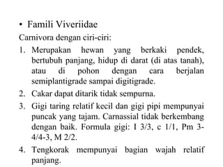 • Famili Viveriidae
Carnivora dengan ciri-ciri:
1. Merupakan hewan yang berkaki pendek,
bertubuh panjang, hidup di darat (di atas tanah),
atau di pohon dengan cara berjalan
semiplantigrade sampai digitigrade.
2. Cakar dapat ditarik tidak sempurna.
3. Gigi taring relatif kecil dan gigi pipi mempunyai
puncak yang tajam. Carnassial tidak berkembang
dengan baik. Formula gigi: I 3/3, c 1/1, Pm 3-
4/4-3, M 2/2.
4. Tengkorak mempunyai bagian wajah relatif
panjang.
 