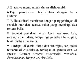 5. Biasanya mempunyai saluran alishpenoid.
6.Taju paroccipital bersentuhan dengan bulla
auditori.
7. Bulla auditori membesar dengan penggentingan di
sebelah luar dan adanya sekat yang membagi dua
rongga bulla.
8. Sebagai pemakan hewan kecil termasuk ikan,
serangga dan udang, tetapi juga pemakan biji-bijian,
buah-buahan dan umbi.
9. Terdapat di dunia Purba dan subtropik, tapi tidak
terdapat di Australasia, terdapat 36 genera dan 72
spesies. Contoh: Viverra, Viverricula, Prinodon,
Paradocurus, Herpentes, Arctictis.
 