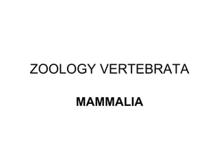 ZOOLOGY VERTEBRATA
MAMMALIA
 