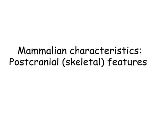 Mammalian characteristics:
Postcranial (skeletal) features
 