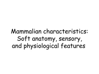 Mammalian characteristics:
Soft anatomy, sensory,
and physiological features
 
