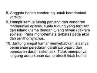 8. Anggota badan cenderung untuk berorientasi
vertikal
9. Hampir semua tulang panjang dan vertebrae
mempunyai epifisis, suatu tudung yang terpisah
dari tulang utama dengan tulang rawan (cakram
epifisis). Pada monotremata terbatas pada ekor
dari ornithorhynchus.
10. Jantung empat kamar menyebabkan jelasnya
pemisahan peredaran darah paru-paru dan
peredaran darah sistematik. Tidak mempunyai
lengung aorta kanan dan erotrosit tidak berinti
 