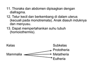 11. Thoraks dan abdomen dipisagkan dengan
diafragma.
12. Telur kecil dan berkembang di dalam uterus
(kecuali pada monotremata). Anak diasuh induknya
dan menyusu.
13. Dapat mempertahankan suhu tubuh
(homoiothermis).
Kelas Subkelas
Prototheria
Mammalia Metatheria
Eutheria
 