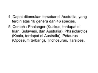 4. Dapat ditemukan tersebar di Australia, yang
terdiri atas 16 genera dan 46 species.
5. Contoh : Phalanger (Kuskus, terdapat di
Irian, Sulawesi, dan Australia), Phasiolarctos
(Koala, terdapat di Australia), Petaurus
(Opossum terbang), Trichosurus, Tarsipes.
 
