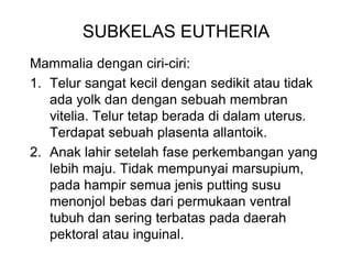 SUBKELAS EUTHERIA
Mammalia dengan ciri-ciri:
1. Telur sangat kecil dengan sedikit atau tidak
ada yolk dan dengan sebuah membran
vitelia. Telur tetap berada di dalam uterus.
Terdapat sebuah plasenta allantoik.
2. Anak lahir setelah fase perkembangan yang
lebih maju. Tidak mempunyai marsupium,
pada hampir semua jenis putting susu
menonjol bebas dari permukaan ventral
tubuh dan sering terbatas pada daerah
pektoral atau inguinal.
 