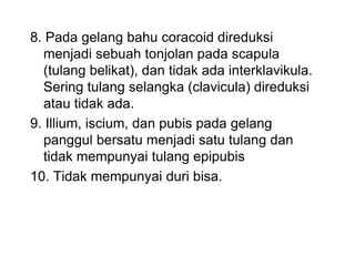 8. Pada gelang bahu coracoid direduksi
menjadi sebuah tonjolan pada scapula
(tulang belikat), dan tidak ada interklavikula.
Sering tulang selangka (clavicula) direduksi
atau tidak ada.
9. Illium, iscium, dan pubis pada gelang
panggul bersatu menjadi satu tulang dan
tidak mempunyai tulang epipubis
10. Tidak mempunyai duri bisa.
 
