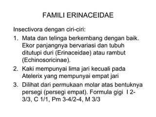 FAMILI ERINACEIDAE
Insectivora dengan ciri-ciri:
1. Mata dan telinga berkembang dengan baik.
Ekor panjangnya bervariasi dan tubuh
ditutupi duri (Erinaceidae) atau rambut
(Echinosoricinae).
2. Kaki mempunyai lima jari kecuali pada
Atelerix yang mempunyai empat jari
3. Dilihat dari permukaan molar atas bentuknya
persegi (persegi empat). Formula gigi I 2-
3/3, C 1/1, Pm 3-4/2-4, M 3/3
 