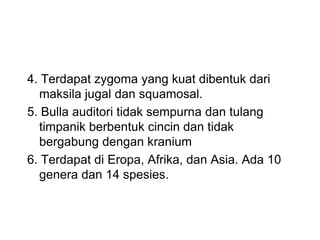 4. Terdapat zygoma yang kuat dibentuk dari
maksila jugal dan squamosal.
5. Bulla auditori tidak sempurna dan tulang
timpanik berbentuk cincin dan tidak
bergabung dengan kranium
6. Terdapat di Eropa, Afrika, dan Asia. Ada 10
genera dan 14 spesies.
 