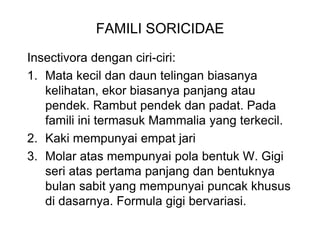 FAMILI SORICIDAE
Insectivora dengan ciri-ciri:
1. Mata kecil dan daun telingan biasanya
kelihatan, ekor biasanya panjang atau
pendek. Rambut pendek dan padat. Pada
famili ini termasuk Mammalia yang terkecil.
2. Kaki mempunyai empat jari
3. Molar atas mempunyai pola bentuk W. Gigi
seri atas pertama panjang dan bentuknya
bulan sabit yang mempunyai puncak khusus
di dasarnya. Formula gigi bervariasi.
 