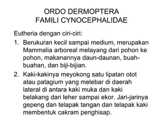 ORDO DERMOPTERA
FAMILI CYNOCEPHALIDAE
Eutheria dengan ciri-ciri:
1. Berukuran kecil sampai medium, merupakan
Mammalia arboreal melayang dari pohon ke
pohon, makanannya daun-daunan, buah-
buahan, dan biji-bijian.
2. Kaki-kakinya meyokong satu lipatan otot
atau patagium yang melebar di daerah
lateral di antara kaki muka dan kaki
belakang dari leher sampai ekor. Jari-jarinya
gepeng dan telapak tangan dan telapak kaki
membentuk cakram penghisap.
 