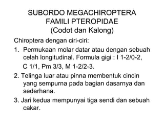 SUBORDO MEGACHIROPTERA
FAMILI PTEROPIDAE
(Codot dan Kalong)
Chiroptera dengan ciri-ciri:
1. Permukaan molar datar atau dengan sebuah
celah longitudinal. Formula gigi : I 1-2/0-2,
C 1/1, Pm 3/3, M 1-2/2-3.
2. Telinga luar atau pinna membentuk cincin
yang sempurna pada bagian dasarnya dan
sederhana.
3. Jari kedua mempunyai tiga sendi dan sebuah
cakar.
 