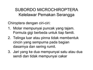 SUBORDO MICROCHIROPTERA
Kelelawar Pemakan Serangga
Chiroptera dengan ciri-ciri:
1. Molar mempunyai puncak yang tajam.
Formula gigi berbeda untuk tiap famili.
2. Telinga luar atau pinna tidak membentuk
cincin yang sempurna pada bagian
dasarnya dan sering rumit.
3. Jari yang ke dua mempunyai satu atau dua
sendi dan tidak mempunyai cakar
 