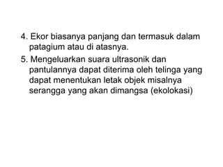 4. Ekor biasanya panjang dan termasuk dalam
patagium atau di atasnya.
5. Mengeluarkan suara ultrasonik dan
pantulannya dapat diterima oleh telinga yang
dapat menentukan letak objek misalnya
serangga yang akan dimangsa (ekolokasi)
 
