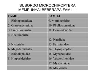 SUBORDO MICROCHIROPTERA
MEMPUNYAI BEBERAPA FAMILI :
FAMILI FAMILI
1. Rhinopomatidae 9. Mormoopidae
2. Craseonycteridae 10. Phyllostomatidae
3. Emballonuridae 11. Desmodontidae
4. Noctilionidae
12. Natalidae
5. Nicteridae 13. Furipteridae
6. Megadermatidae 14. Thyropterydae
7. Rhinolophidae 15. Myzopodidae
8. Hipposideridae 16. Vesvertilionidae
17. Mystacinidae
18. Mollosidae
 
