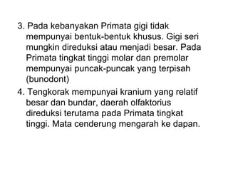 3. Pada kebanyakan Primata gigi tidak
mempunyai bentuk-bentuk khusus. Gigi seri
mungkin direduksi atau menjadi besar. Pada
Primata tingkat tinggi molar dan premolar
mempunyai puncak-puncak yang terpisah
(bunodont)
4. Tengkorak mempunyai kranium yang relatif
besar dan bundar, daerah olfaktorius
direduksi terutama pada Primata tingkat
tinggi. Mata cenderung mengarah ke dapan.
 