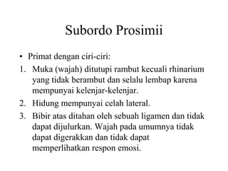 Subordo Prosimii
• Primat dengan ciri-ciri:
1. Muka (wajah) ditutupi rambut kecuali rhinarium
yang tidak berambut dan selalu lembap karena
mempunyai kelenjar-kelenjar.
2. Hidung mempunyai celah lateral.
3. Bibir atas ditahan oleh sebuah ligamen dan tidak
dapat dijulurkan. Wajah pada umumnya tidak
dapat digerakkan dan tidak dapat
memperlihatkan respon emosi.
 
