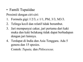 • Famili Tupaiidae
Prosimii dengan ciri-ciri:
1. Formula gigi: I 2/3, c 1/1, PM, 3/3, M3/3.
2. Telinga kecil dan relatif tidak berambut.
3. Jari mempunyai cakar, jari pertama dari kaki
muka dan kaki belakang tidak dapat berhadapan
dengan jari lainnya.
4. Terdapat di India dan Asia Tenggara. Ada 5
genera dan 15 spesies.
Contoh: Tupaia, dan Ptilocescus.
 