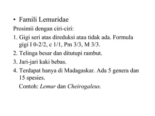 • Famili Lemuridae
Prosimii dengan ciri-ciri:
1. Gigi seri atas direduksi atau tidak ada. Formula
gigi I 0-2/2, c 1/1, Pm 3/3, M 3/3.
2. Telinga besar dan ditutupi rambut.
3. Jari-jari kaki bebas.
4. Terdapat hanya di Madagaskar. Ada 5 genera dan
15 spesies.
Contoh: Lemur dan Cheirogaleus.
 