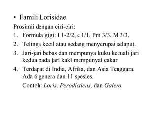 • Famili Lorisidae
Prosimii dengan ciri-ciri:
1. Formula gigi: I 1-2/2, c 1/1, Pm 3/3, M 3/3.
2. Telinga kecil atau sedang menyerupai selaput.
3. Jari-jari bebas dan mempunya kuku kecuali jari
kedua pada jari kaki mempunyai cakar.
4. Terdapat di India, Afrika, dan Asia Tenggara.
Ada 6 genera dan 11 spesies.
Contoh: Loris, Perodicticus, dan Galero.
 
