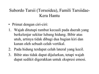 Subordo Tarsii (Torsoidea), Famili Tarsiidae-
Kera Hantu
• Primat dengan ciri-ciri:
1. Wajah ditutupi rambut kecuali pada daerah yang
berkelenjar sekitar lubang hidung. Bibir atas
utuh, artinya tidak dibagi dua bagian kiri dan
kanan oleh sebuah celah vertikal.
2. Pada hidung terdapat celah lateral yang kecil.
3. Bibir atas tidak dapat dijulurkan, tetapi wajah
dapat sedikit digerakkan untuk ekspresi emosi.
 