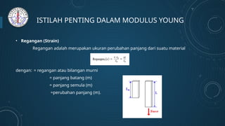 MODUL MODULUS YOUNG untuk praktikum fisika | PPTX