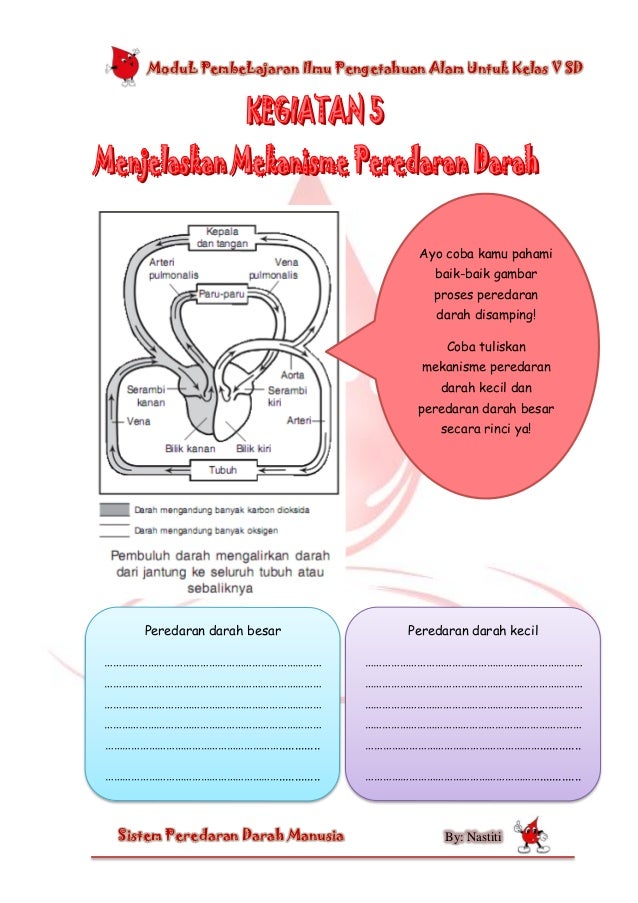 Modul Sains Circulatory System 109151415406