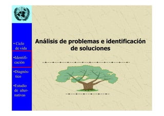• Ciclo
de vida
•Identifi-
cación
•Diagnós-
tico
•Estudio
de alter-
nativas
Análisis de problemas e identificación
de soluciones
 