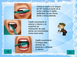 Incline el cepillo a un ángulo de 45° contra el borde de la encía y deslice el cepillo alejándose de ese mismo borde y hacia adelante.  Cepille suavemente el exterior e interior y la superficie de masticación de cada diente con movimientos cortos hacia atrás.  Cepille suavemente la lengua para eliminar las bacterias y refrescar el aliento.  