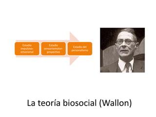 La teoría biosocial (Wallon)
Estadio
impulsivo-
emocional
Estadio
sensoriomotor-
proyectivo
Estadio del
personalismo
 