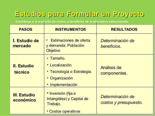 FORMULACION DE PROYECTOS DE INVERSION