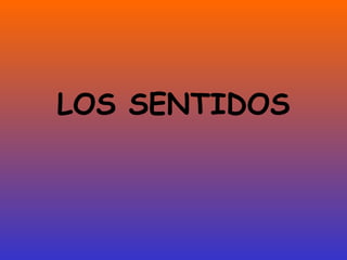 LOS SENTIDOS 