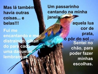 Mas lá também       Um passarinho
havia outras        cantando na minha
coisas... e         janela...
belas!!!                           aquela lua
Fui me                                cor de
encantando e me                        prata,
distraindo, olhan             o pôr do sol ...
                                   Sentei no
do para cada                      chão, para
uma daquelas                     poder fazer
lembranças.                          minhas
                                   escolhas.
 