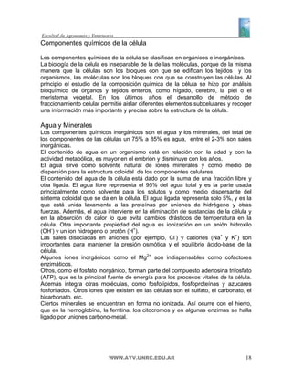 Componentes químicos de la célula

Los componentes químicos de la célula se clasifican en orgánicos e inorgánicos.
La biología de la célula es inseparable de la de las moléculas, porque de la misma
manera que la células son los bloques con que se edifican los tejidos y los
organismos, las moléculas son los bloques con que se construyen las células. Al
principio el estudio de la composición química de la célula se hizo por análisis
bioquímico de órganos y tejidos enteros, como hígado, cerebro, la piel o el
meristema vegetal. En los últimos años el desarrollo de método de
fraccionamiento celular permitió aislar diferentes elementos subcelulares y recoger
una información más importante y precisa sobre la estructura de la célula.

Agua y Minerales
Los componentes químicos inorgánicos son el agua y los minerales, del total de
los componentes de las células un 75% a 85% es agua, entre el 2-3% son sales
inorgánicas.
El contenido de agua en un organismo está en relación con la edad y con la
actividad metabólica, es mayor en el embrión y disminuye con los años.
El agua sirve como solvente natural de iones minerales y como medio de
dispersión para la estructura coloidal de los componentes celulares.
El contenido del agua de la célula está dado por la suma de una fracción libre y
otra ligada. El agua libre representa el 95% del agua total y es la parte usada
principalmente como solvente para los solutos y como medio dispersante del
sistema coloidal que se da en la célula. El agua ligada representa solo 5%, y es la
que está unida laxamente a las proteínas por uniones de hidrógeno y otras
fuerzas. Además, el agua interviene en la eliminación de sustancias de la célula y
en la absorción de calor lo que evita cambios drásticos de temperatura en la
célula. Otra importante propiedad del agua es ionización en un anión hidroxilo
(OH-) y un ion hidrógeno o protón (H+).
Las sales disociadas en aniones (por ejemplo, Cl-) y cationes (Na+ y K+) son
importantes para mantener la presión osmótica y el equilibrio ácido-base de la
célula.
Algunos iones inorgánicos como el Mg2+ son indispensables como cofactores
enzimáticos.
Otros, como el fosfato inorgánico, forman parte del compuesto adenosina trifosfato
(ATP), que es la principal fuente de energía para los procesos vitales de la célula.
Además integra otras moléculas, como fosfolípidos, fosfoproteínas y azucares
fosforilados. Otros iones que existen en las células son el sulfato, el carbonato, el
bicarbonato, etc.
Ciertos minerales se encuentran en forma no ionizada. Así ocurre con el hierro,
que en la hemoglobina, la ferritina, los citocromos y en algunas enzimas se halla
ligado por uniones carbono-metal.




                           WWW.AYV.UNRC.EDU.AR                                    18
 