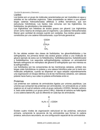 Lípidos
Los lípidos son un grupo de moléculas caracterizadas por ser insolubles en agua y
solubles en los solventes orgánicos. Tales propiedades se deben a que poseen
largas cadenas hidrocarbonadas alifáticas o anillos bencénicos, que son
estructuras hidrofobicas. Los lípidos más comunes son los triglicéridos, los
fosfolípidos, los glicolípidos y los esteroides.
Los triglicéridos son triésteres de ácidos grasos con glicerol. Los triglicéridos
sirven como reserva de energía para el organismo. Las cadenas hidrocarbonadas
liberan gran cantidad de energía cuando son oxidadas. Sus ácidos grasos están
constituidos por una cadena hidrocarbonada, cuya fórmula general es:

                                     COOH
                                     |
                                    (CH2)n
                                       |
                                     CH3

En las células existen dos clases de fosfolípidos, los glicerofosfolípidos y los
esfingolípidos, los primeros tienen dos ácidos grasos unidos a una molécula de
glicerol ejemplo de estos son la fofatidilcolina, fosftidiletanolamina, fosfatidilinositol
y fosfatidilserina. Los segundos esfingofosfolipidos contienen un aminoalcohol
llamado esfingosina en reemplazo del glicerol El esfingolípido que nos interesa es
la esfingomielina.
Los fosfolípidos son los componentes de las membranas celulares, exhiben dos
largas colas hidrofobicas no polares y una cabeza hidrofílica polar por lo tanto son
moléculas anfipáticas, cuando se dispersan en agua adoptan espontáneamente
una organización en bicapa idéntica a la de las membranas celulares, con cabezas
polares hacia fuera y sus colas no polares enfrentadas entre sí.

Proteínas
Las proteínas son cadenas de aminoácidos ligados por uniones peptídicas. Las
uniones que componen las proteínas son aminoácidos. Un aminoácido es un ácido
orgánico en el cual el carbono unido al grupo carboxilo (-COOH), llamado carbono
ά, está unido también a un grupo amino (-NH2) .Además el carbono se halla ligado
a una cadena lateral (R), que es diferente en cada tipo de aminoácido.

                                       R
                                        |
                                  H2 N—C —COOH
                                        |
                                       H

Existen cuatro niveles de organización estructural en las proteínas, estructura
primaria, comprende la secuencia de los aminoácidos que forman la cadena
proteica, estructura secundaria, es una configuración espacial de los aminoácidos


                             WWW.AYV.UNRC.EDU.AR                                       21
 