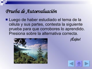 Prueba de Autoevaluación Luego de haber estudiado el tema de la célula y sus partes, contesta la siguiente prueba para que corrobores lo aprendido. Presiona sobre la alternativa correcta.  ¡Éxito! 