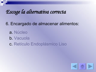 6. Encargado de almacenar alimentos: a.  Núcleo b.  Vacuola c.  Retículo Endoplásmico Liso Escoge la alternativa correcta 