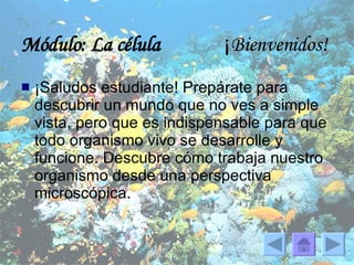 Módulo: La célula   ¡ Bienvenidos! ¡Saludos estudiante! Prepárate para descubrir un mundo que no ves a simple vista, pero que es indispensable para que todo organismo vivo se desarrolle y funcione. Descubre cómo trabaja nuestro organismo desde una perspectiva microscópica. 