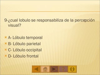 9-¿cual lobulo  se responsabiliza de la percepción visual? A-  Lóbulo temporal B- Lóbulo parietal C- Lóbulo occipital   D-  Lóbulo frontal  