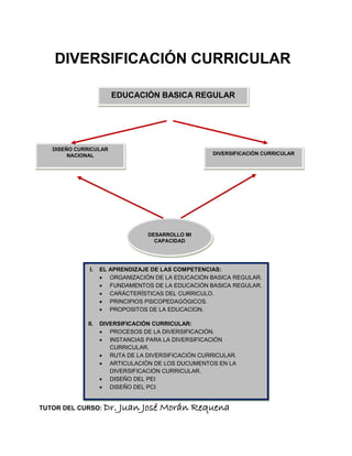 DIVERSIFICACIÓN CURRICULAR
TUTOR DEL CURSO: Dr. Juan José Morán Requena
DESARROLLO MI
CAPACIDAD
DISEÑO CURRICULAR
NACIONAL DIVERSIFICACIÓN CURRICULAR
EDUCACIÓN BASICA REGULAR
I. EL APRENDIZAJE DE LAS COMPETENCIAS:
 ORGANIZACIÓN DE LA EDUCACIÓN BASICA REGULAR.
 FUNDAMENTOS DE LA EDUCACIÓN BASICA REGULAR.
 CARÁCTERÍSTICAS DEL CURRICULO.
 PRINCIPIOS PSICOPEDAGÓGICOS.
 PROPOSITOS DE LA EDUCACION.
II. DIVERSIFICACIÓN CURRICULAR:
 PROCESOS DE LA DIVERSIFICACIÓN.
 INSTANCIAS PARA LA DIVERSIFICACIÓN
CURRICULAR.
 RUTA DE LA DIVERSIFICACIÓN CURRICULAR.
 ARTICULACIÓN DE LOS DUCUMENTOS EN LA
DIVERSIFICACIÓN CURRICULAR.
 DISEÑO DEL PEI
 DISEÑO DEL PCI
 