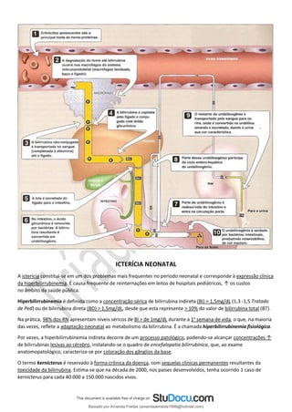 ICTERÍCIA NEONATAL
A icterícia constitui-se em um dos problemas mais frequentes no período neonatal e corresponde à expressão clínica
da hiperbilirrubinemia. É causa frequente de reinternações em leitos de hospitais pediátricos, ↑ os custos
no âmbito da saúde pública.
Hiperbilirrubinemia é definida como a concentração sérica de bilirrubina indireta (BI) > 1,5mg/dL (1,3 -1,5 Tratado
de Ped) ou de bilirrubina direta (BD) > 1,5mg/dL, desde que esta represente > 10% do valor de bilirrubina total (BT).
Na prática, 98% dos RN apresentam níveis séricos de BI > de 1mg/dL durante a 1a
semana de vida, o que, na maioria
das vezes, reﬂete a adaptação neonatal ao metabolismo da bilirrubina. É a chamada hiperbilirrubinemia fisiológica.
Por vezes, a hiperbilirrubinemia indireta decorre de um processo patológico, podendo-se alcançar concentrações ↑
de bilirrubinas lesivas ao cérebro, instalando-se o quadro de encefalopatia bilirrubínica, que, ao exame
anatomopatológico, caracteriza-se por coloração dos gânglios da base.
O termo kernicterus é reservado à forma crônica da doença, com sequelas clínicas permanentes resultantes da
toxicidade da bilirrubina. Estima-se que na década de 2000, nos países desenvolvidos, tenha ocorrido 1 caso de
kernicterus para cada 40.000 a 150.000 nascidos vivos.
Baixado por Amanda Freitas (amandaalmeida1996@hotmail.com)
lOMoARcPSD|5059377
 